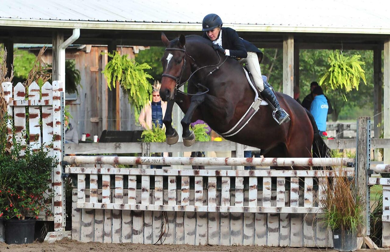 Horse Shows Brownland Farm
