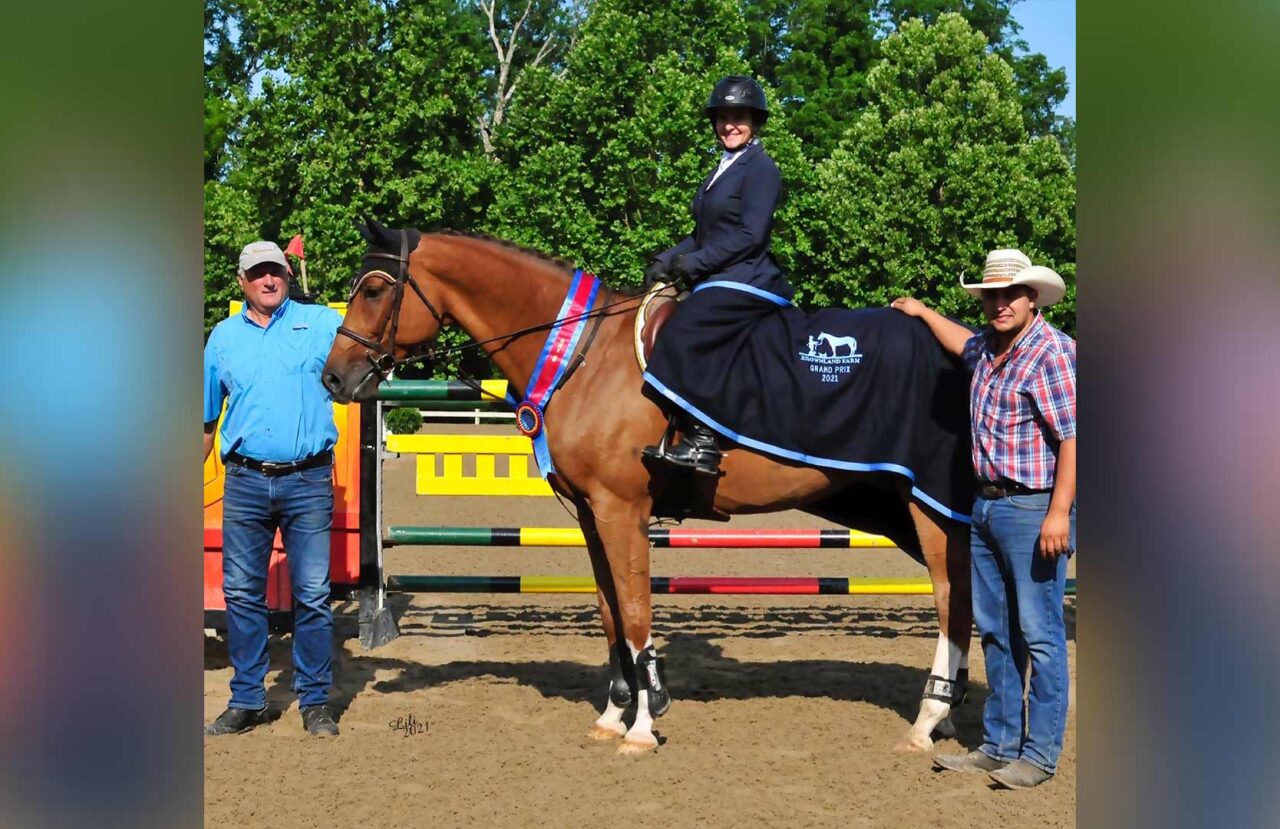 Horse Shows Brownland Farm