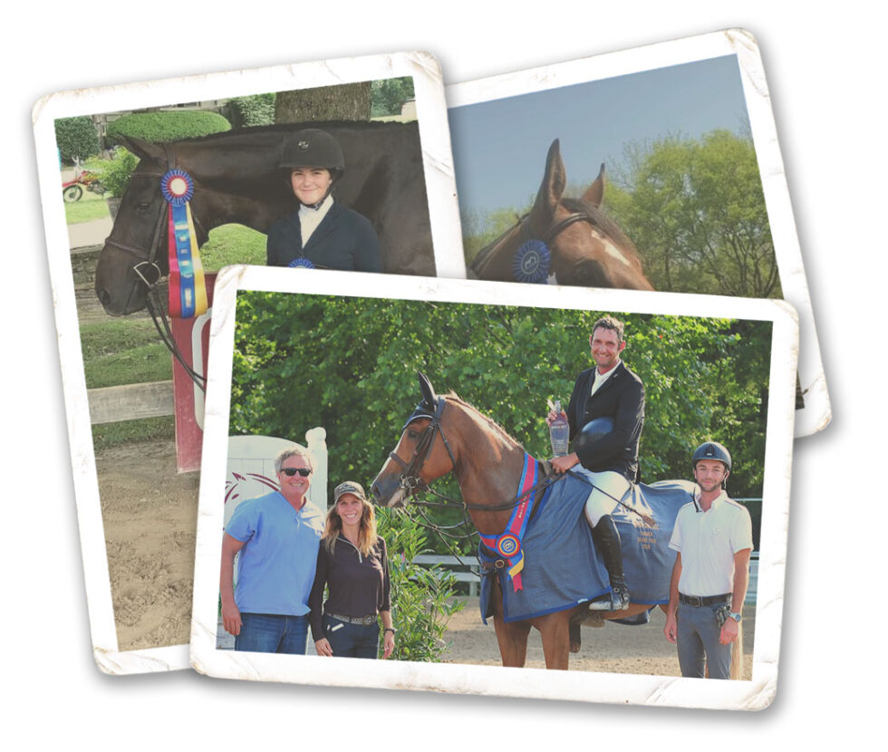 Horse Shows Brownland Farm