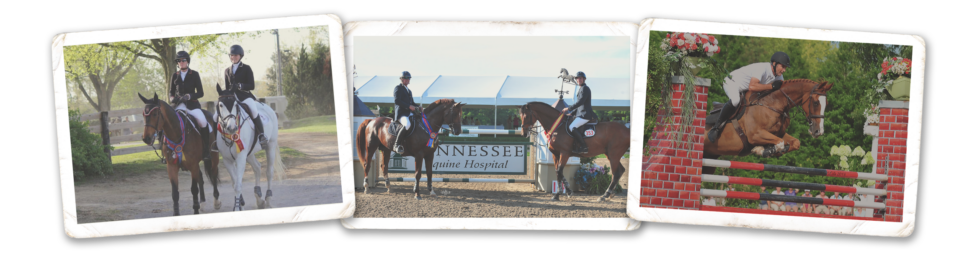 Brownland Farm - Franklin, Tennessee Horse Shows